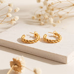 Gedrehte Kreolen aus Edelstahl 18 K vergoldet, liegen auf heller Steinplatte mit Trockenblumen im Hintergrund im warmen Sonnenlicht – Rilani Kreolen | Mercy’s Jewelry