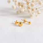 Kugel-Ohrstecker aus Edelstahl 18 K vergoldet, liegen auf hellem Stoff mit Trockenblumen im Hintergrund – Mino Studs | Mercy’s Jewelry